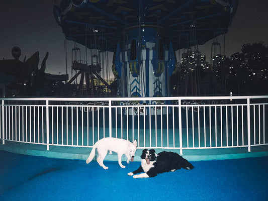 Ruff Road Music: Vol. 3 Old Catchy Melodies