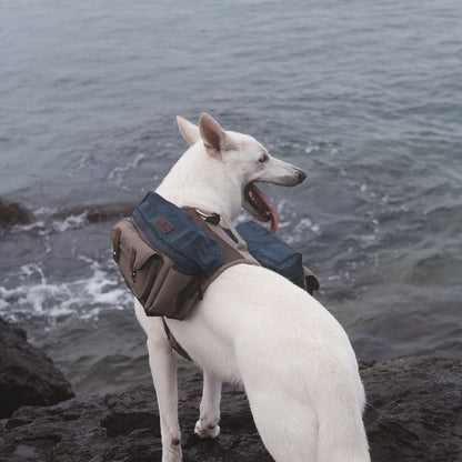 Cactus Creek Dog Adventure Backpack shown on an outdoor adventure dog.