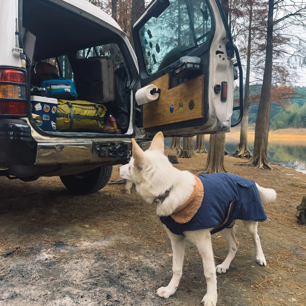 营地中一辆车门打开的汽车旁，一只白色狗狗穿着海军蓝 Sedona Dawn Dog Winter Jacket。
