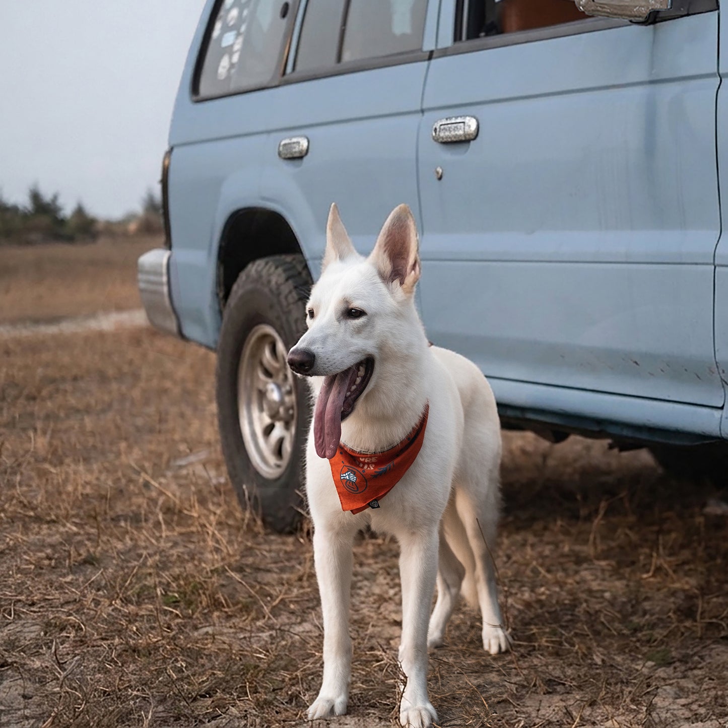 Scenic Poop Dog Bandana
