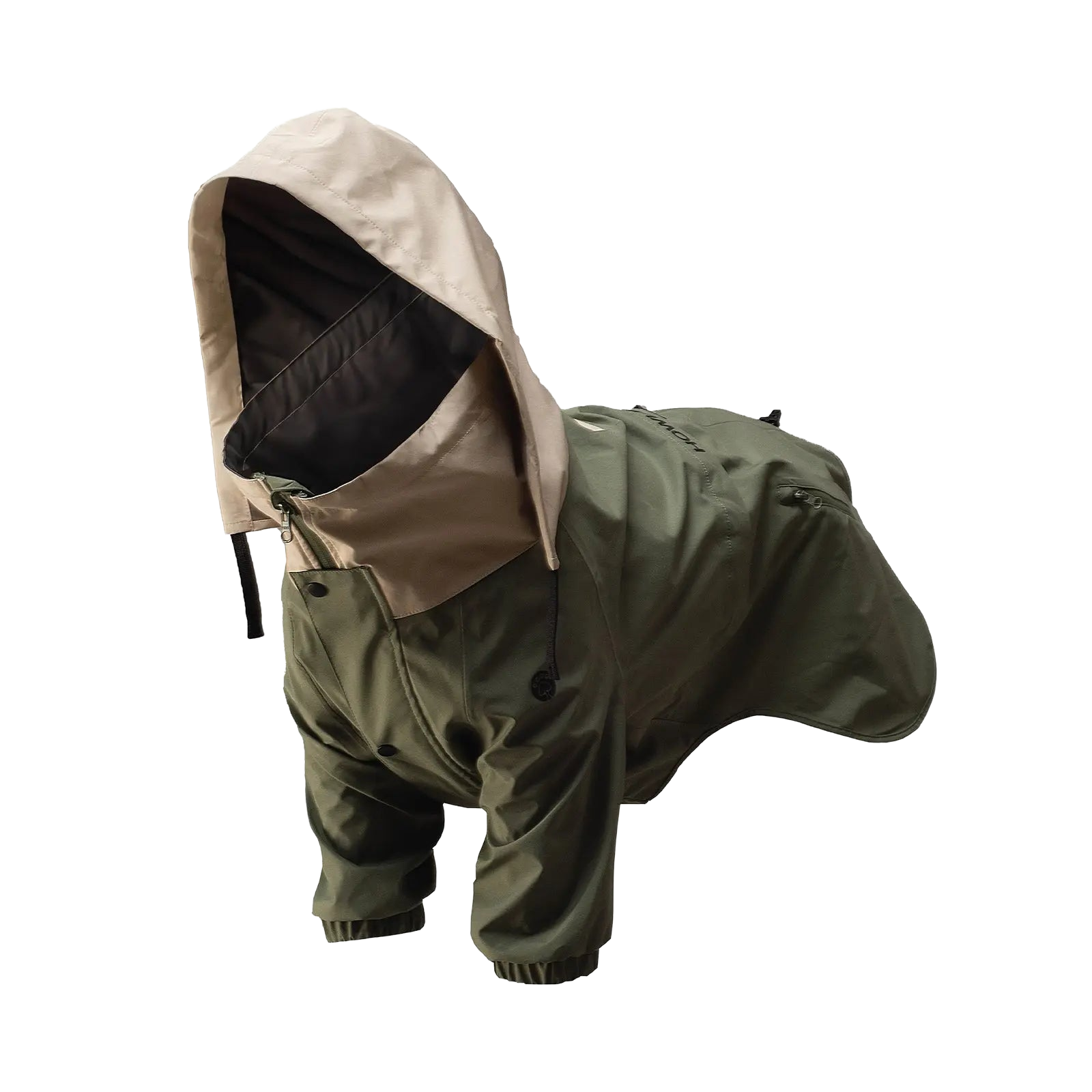 狗狗穿着带兜帽的全身雨具，以斜角展示防水防护型户外服装。